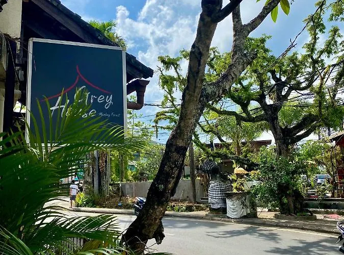 Hotel Grey House Monkey Forest Ubud