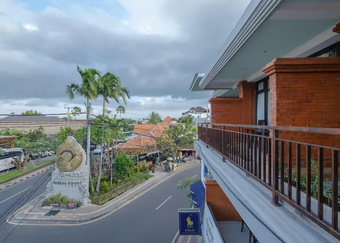 Hotel Grey House Monkey Forest 3*